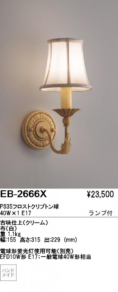 ƣ ENDO ֥饱å EB-2666X