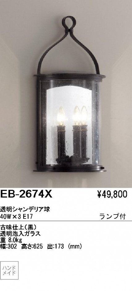 ƣ ENDO ֥饱å EB-2674X