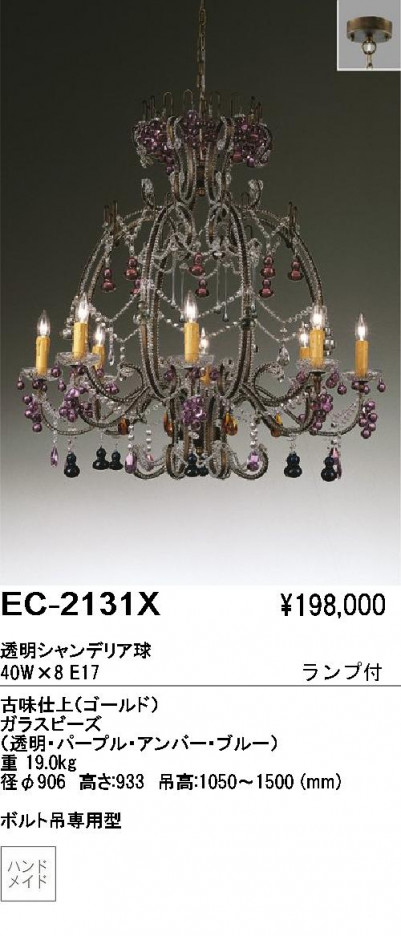 ƣ ENDO ǥꥢ EC-2131X