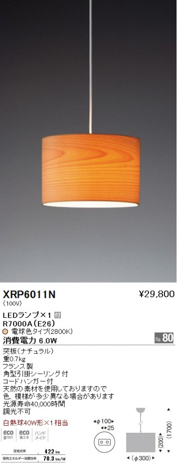 ��ƣ���� ENDO LED �ڥ����� XRP6011N �ᥤ��̿�