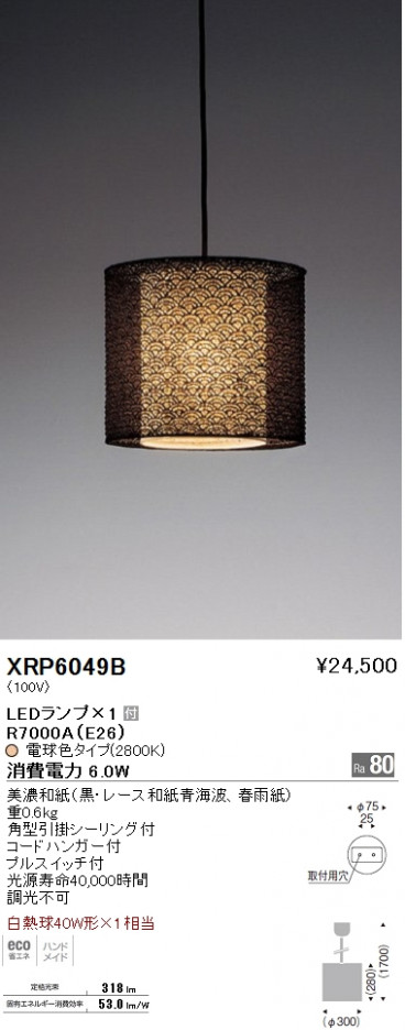 ��ƣ���� ENDO LED �ڥ����� XRP6049B �ᥤ��̿�