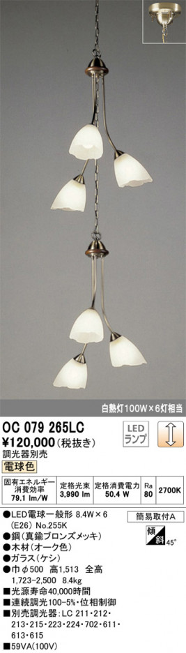 ODELIC �����ǥ�å� ��ȴ������ OC079265LC �ᥤ��̿�