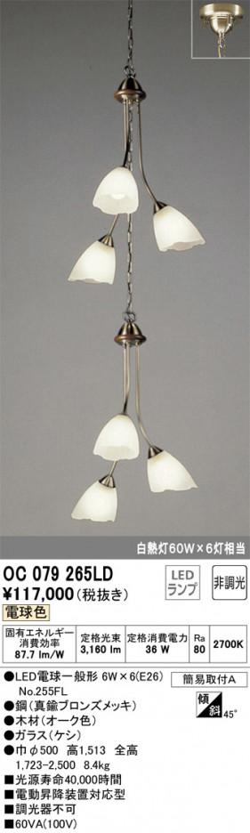 ODELIC �����ǥ�å� ��ȴ������ OC079265LD �ᥤ��̿�