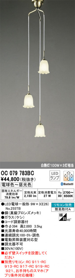 ODELIC �����ǥ�å� ��ȴ������ OC079783BC �ᥤ��̿�