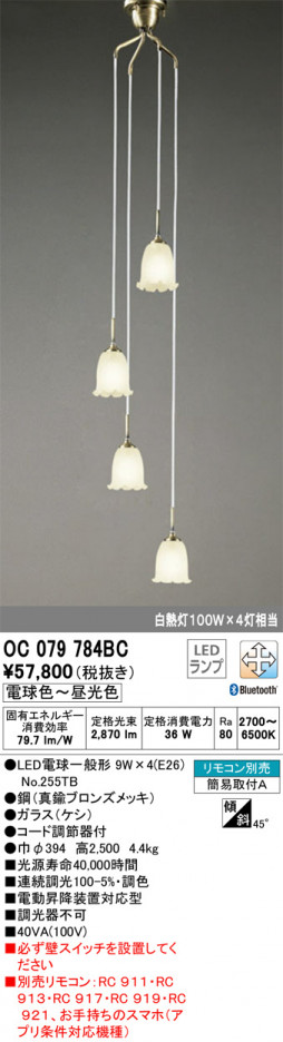 ODELIC ǥå ȴ OC079784BC ᥤ̿