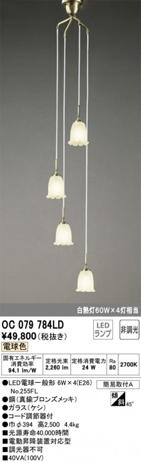 ODELIC �����ǥ�å� ��ȴ������ OC079784LD �ᥤ��̿�