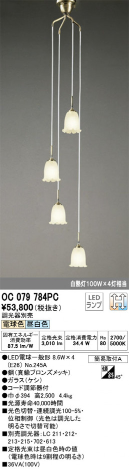 ODELIC �����ǥ�å� ��ȴ������ OC079784PC �ᥤ��̿�