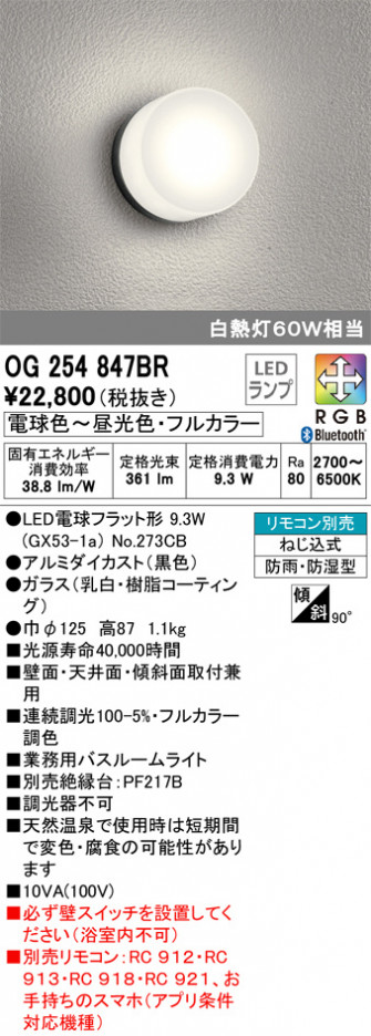 ODELIC �����ǥ�å� �Х��롼��饤�� OG254847BR �ᥤ��̿�