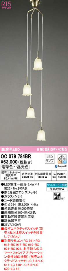 ODELIC �����ǥ�å� ��ȴ������ OC079784BR �ᥤ��̿�