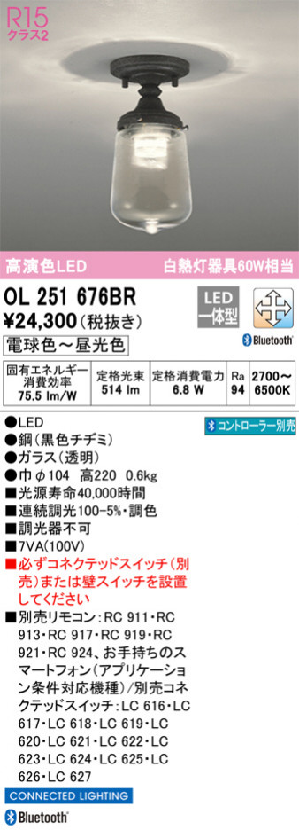 ODELIC �����ǥ�å� ����������󥰥饤�� OL251676BR �ᥤ��̿�