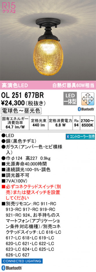 ODELIC �����ǥ�å� ����������󥰥饤�� OL251677BR �ᥤ��̿�