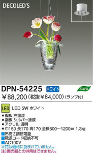 DPN-54225 LED ペンダント DAIKO 大光電機 Lenorat ルノラ