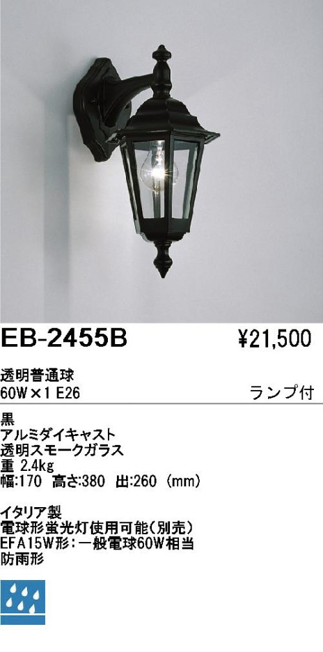ƣ ENDO ȥɥ EB-2455B