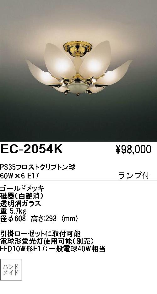 ƣ ENDO ǥꥢ EC-2054K