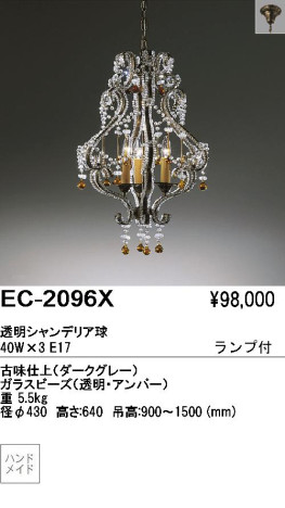 ƣ ENDO ǥꥢ EC-2096X