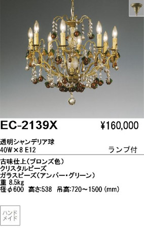 ƣ ENDO ǥꥢ EC-2139X