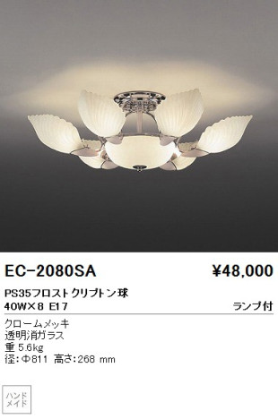 ƣ ENDO ǥꥢ EC-2080SA
