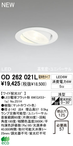 ODELIC LED 饤 OD262021L