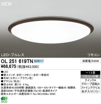ODELIC ǥå LED 󥰥饤 OL251619TN