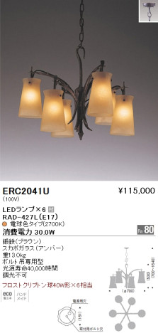 ƣ ENDO LED ǥꥢ ERC2041U ᥤ̿
