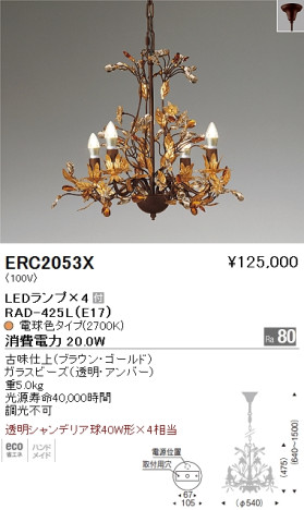 ƣ ENDO LED ǥꥢ ERC2053X ᥤ̿