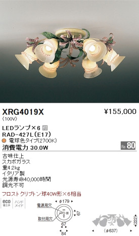 ƣ ENDO LED ǥꥢ XRG4019X ᥤ̿