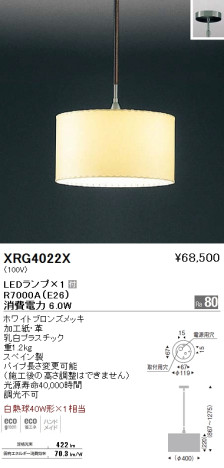 ƣ ENDO LED ڥ XRG4022X ᥤ̿