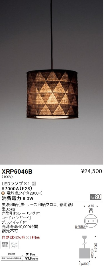 ƣ ENDO LED ڥ XRP6046B ᥤ̿