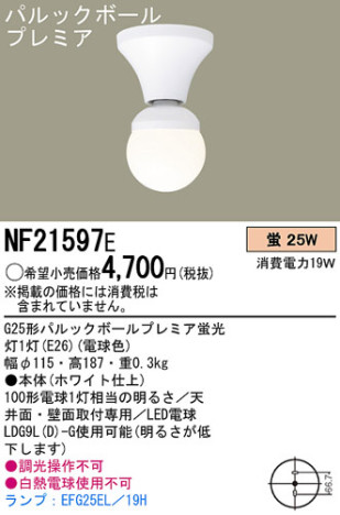 Panasonic 󥰥饤 NF21597E ᥤ̿