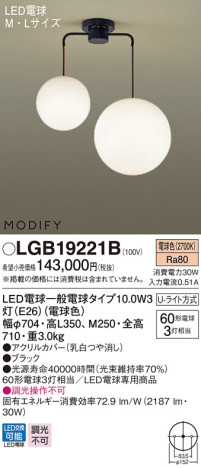 Panasonic LED ǥꥢ LGB19221B ᥤ̿