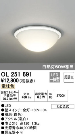 ODELIC ǥå LED 󥰥饤 OL251691 ᥤ̿