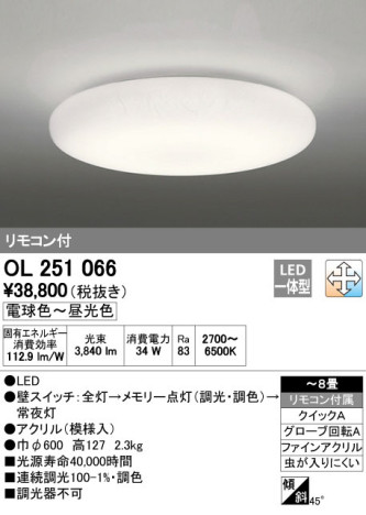 ODELIC ǥå LED 󥰥饤 OL251066 ᥤ̿