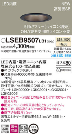Panasonic 饤 LSEB9507LB1 ᥤ̿