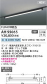 Koizumi コイズミ照明 ベースライトAH55065