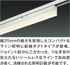 特徴写真 Koizumi コイズミ照明 ベースライトAH55166