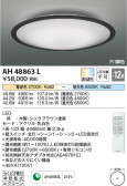 Koizumi コイズミ照明 シーリングAH48863L