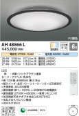 Koizumi コイズミ照明 シーリングAH48866L