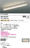Koizumi コイズミ照明 ベースライトAH54187