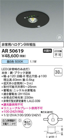 β Koizumi ߾ AR50619
