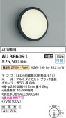 Koizumi コイズミ照明 防雨型ブラケットAU38609L