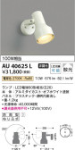 Koizumi コイズミ照明 エクステリアスポットライトAU40625L
