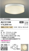 Koizumi コイズミ照明 防雨防湿型シーリングAU51199