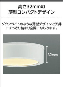 Koizumi コイズミ照明 防雨防湿型シーリングAU54137 写真4