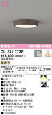 ODELIC オーデリック 小型シーリングライト OL251773R