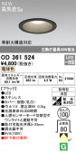 ODELIC オーデリック エクステリアライト OD361524