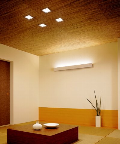 パナソニック電工 PANASONIC 天井埋込型 白熱灯 ダウンライト 浅型高