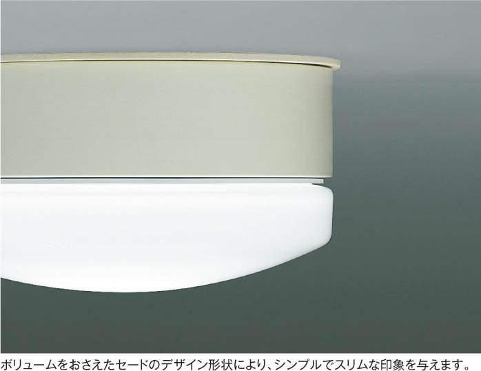 世界の KOIZUMI コイズミ照明 LED階段通路誘導灯 AR49374L シーリングライト、天井照明