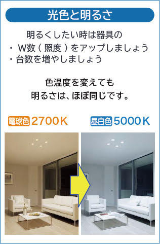 DAIKO 大光電機 ダウンライト(軒下兼用) DDL-5104YB | 商品紹介