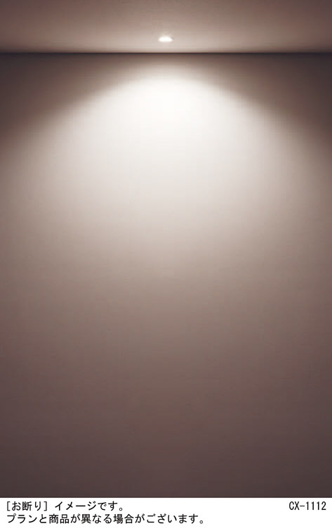 Panasonic エクステリアダウンライト LRD1010VLE1 | 商品紹介