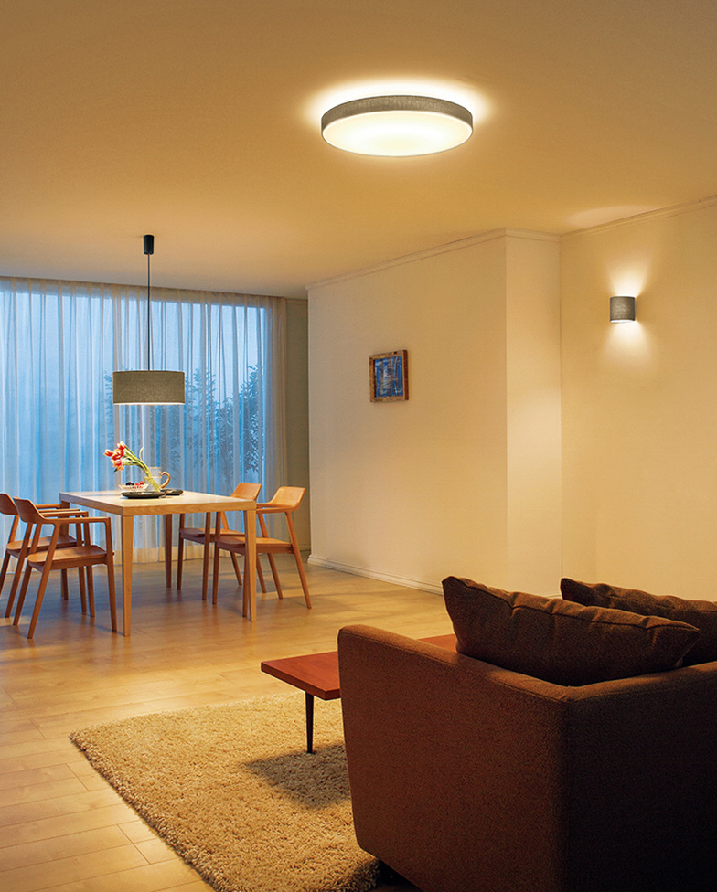 シーリングライト・天井照明 ODELIC OL 251 399R シーリングライト・天井照明 ODELIC OL 251 399R ODELIC